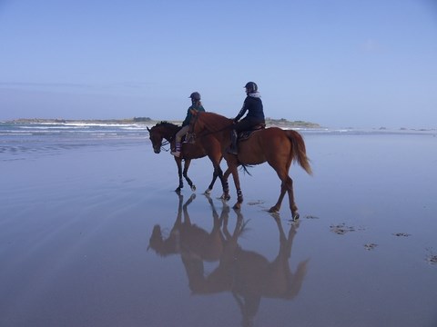 Promenade sur la plage